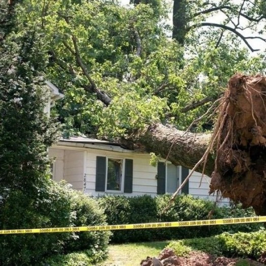 Storm Damage Repair Services in East Louisville, KY