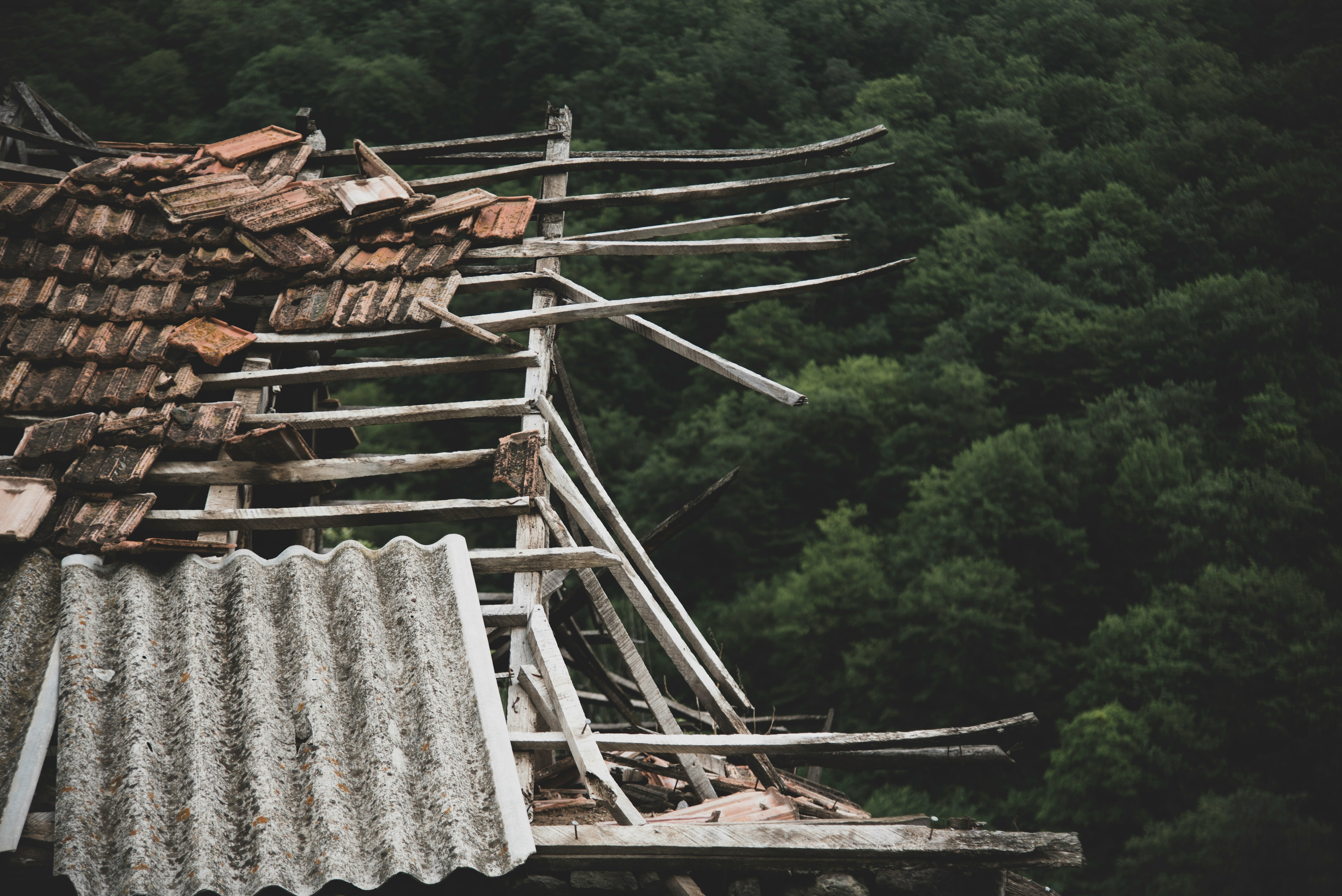 How to Select the Best Restoration Service in Louisville